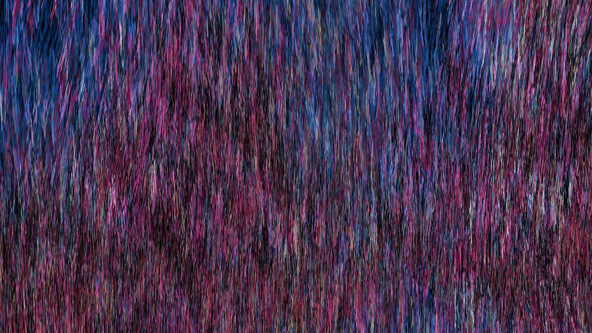 Emergence Video (4 of 22)