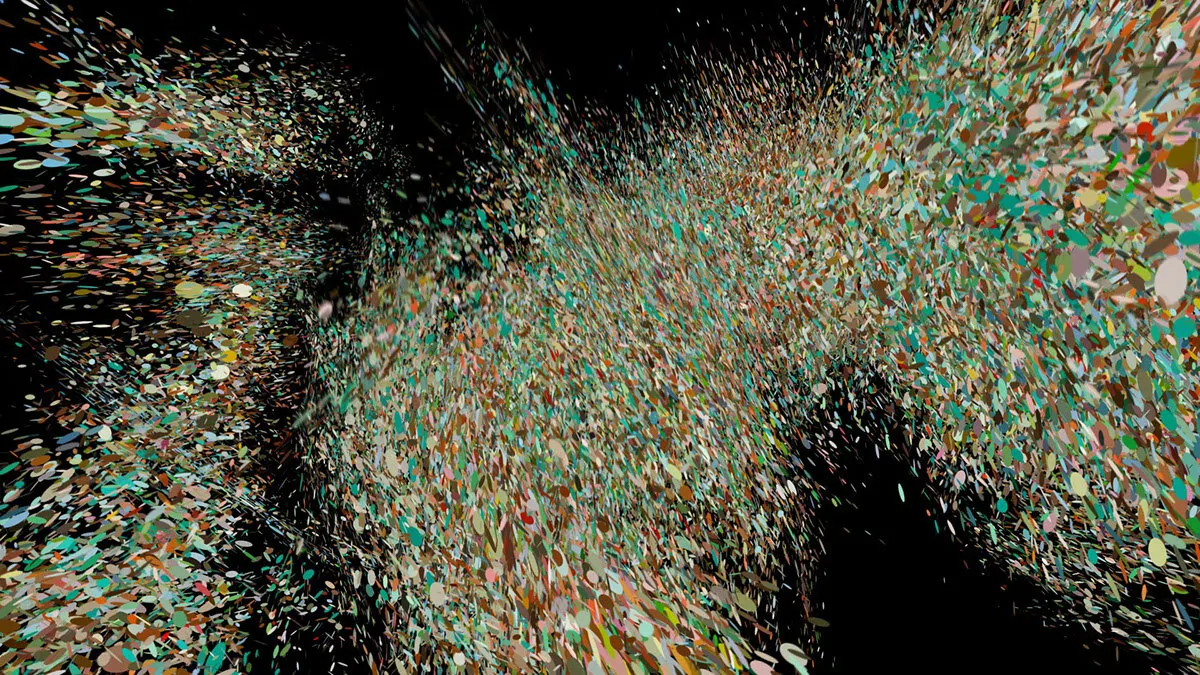 Emergence Video (10 of 22)