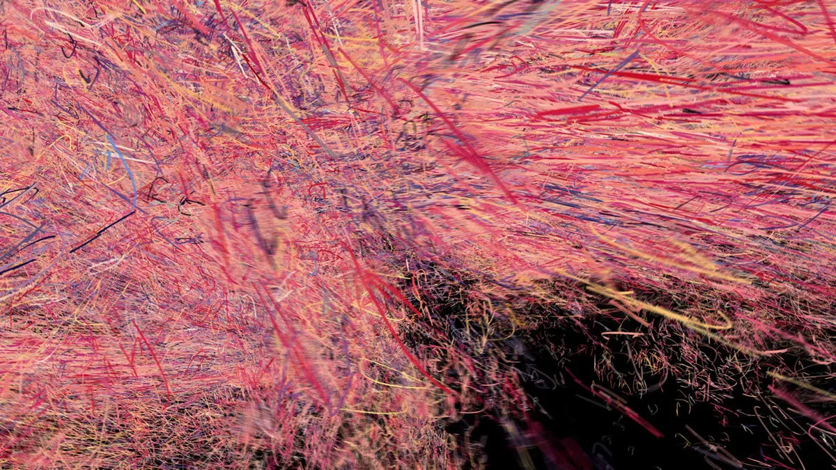 Emergence Video (19 of 22)