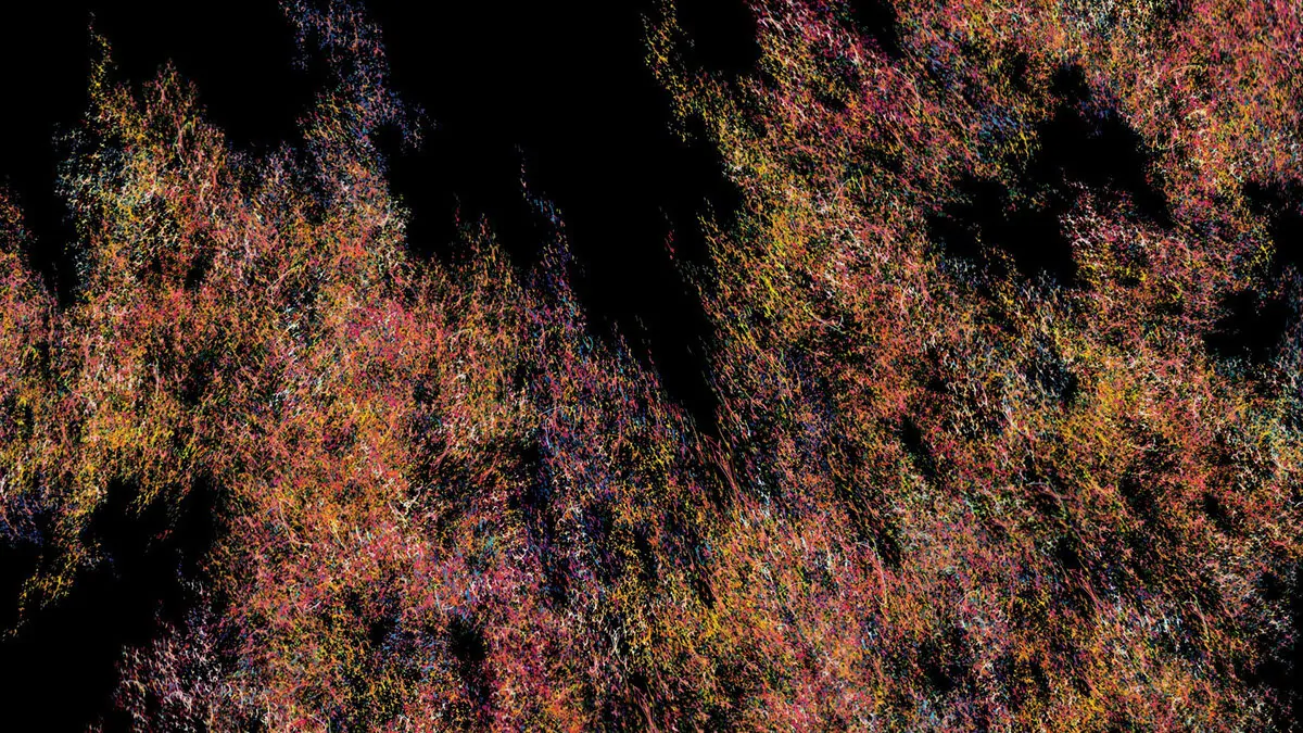 Emergence Video (6 of 22)