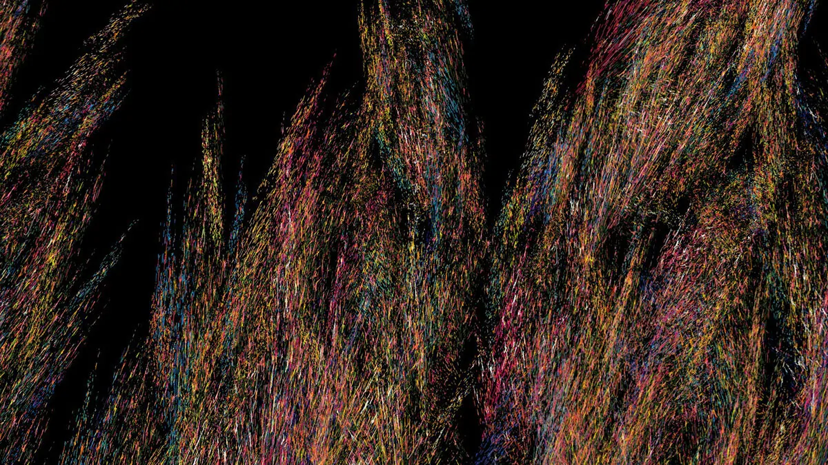 Emergence Video (15 of 22)