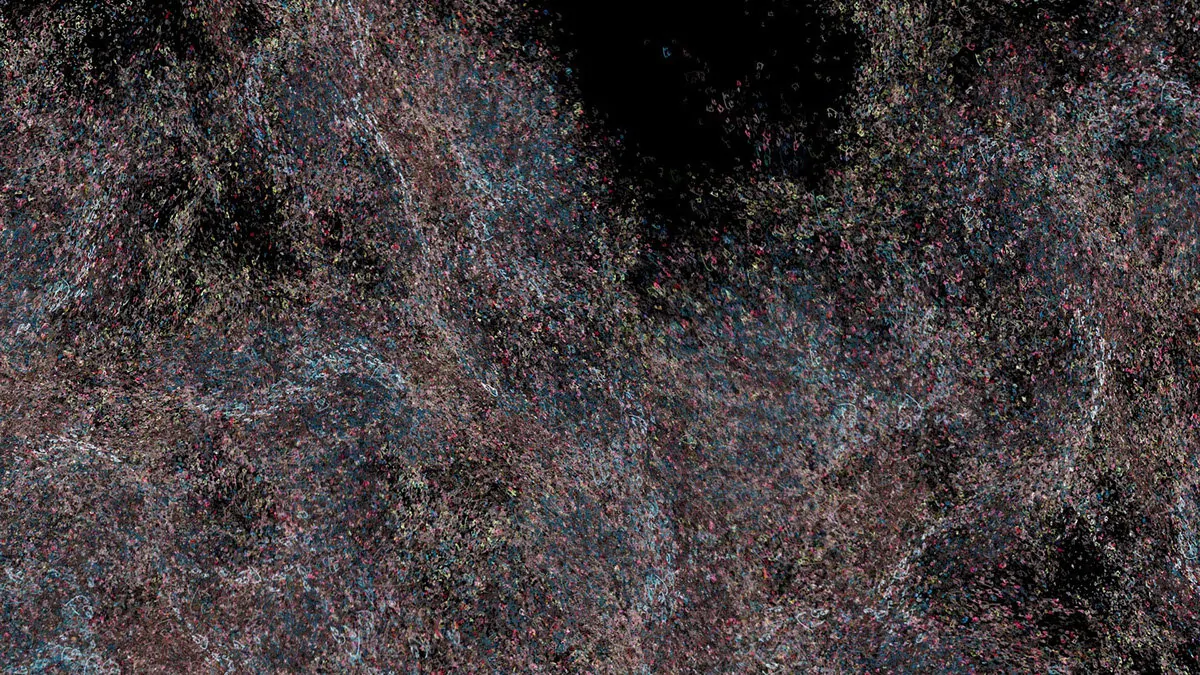 Emergence Video (2 of 22)