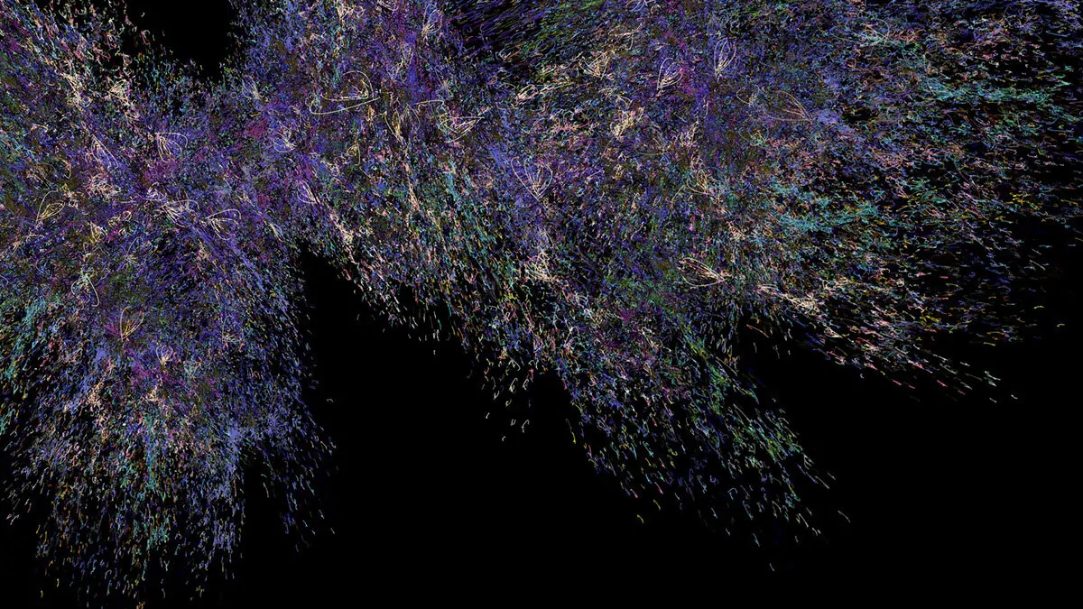 Emergence Video (11 of 22)