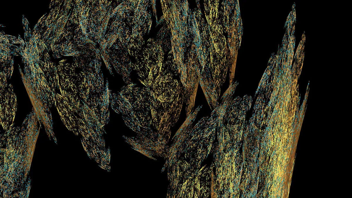 Emergence Video (1 of 22)