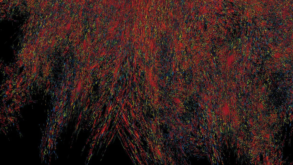 Emergence Video (13 of 22)