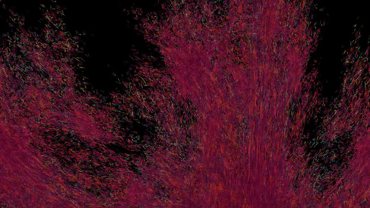 Emergence Video (21 of 22)