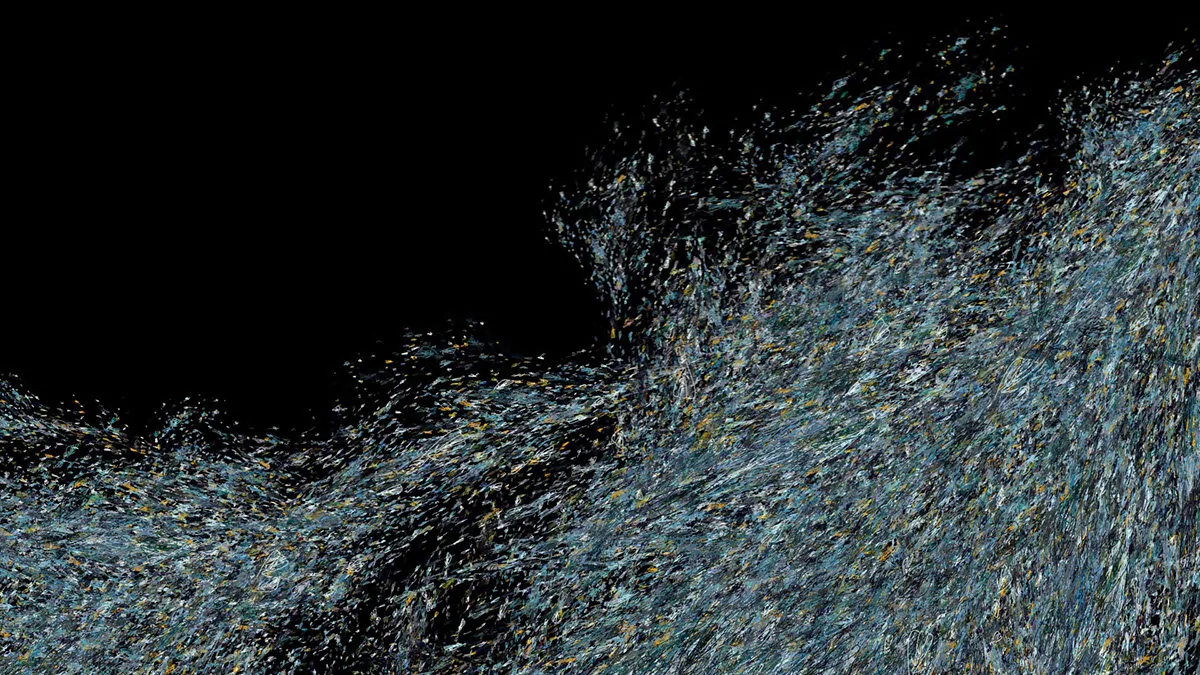 Emergence Video (18 of 22)